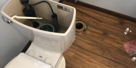 toilet toilet